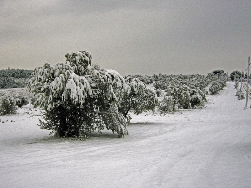 La magica atmosfera del Chianti innevato